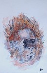 Thumbs/tn_Jeune Orang.Outang.jpg